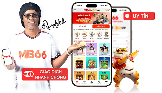 Tốc Độ Nhanh Chóng & Ổn Định